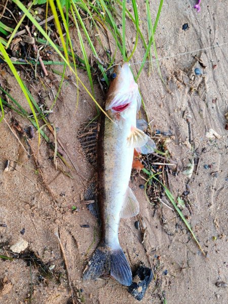 2025-07-27 19-53-54.JPG