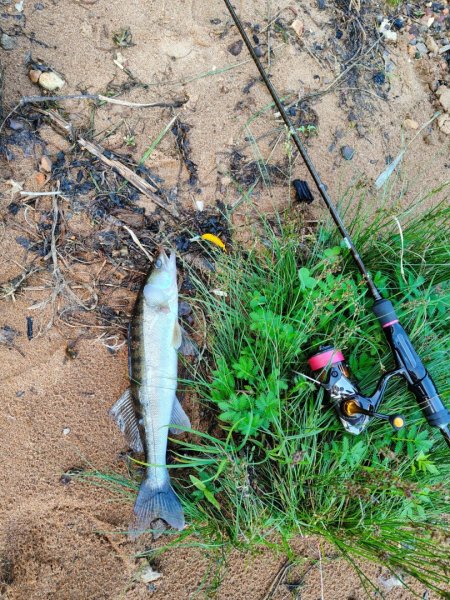 2025-07-26 06-36-57.JPG