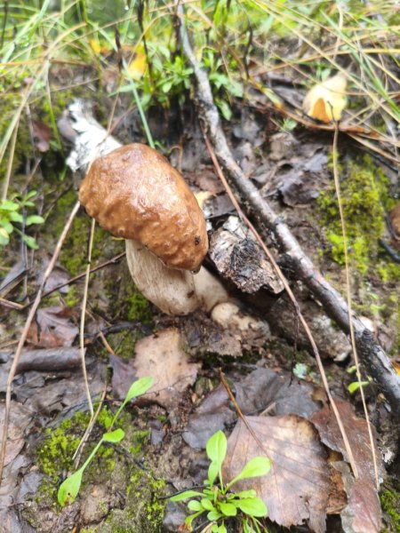 2025-08-24 16-14-28.JPG