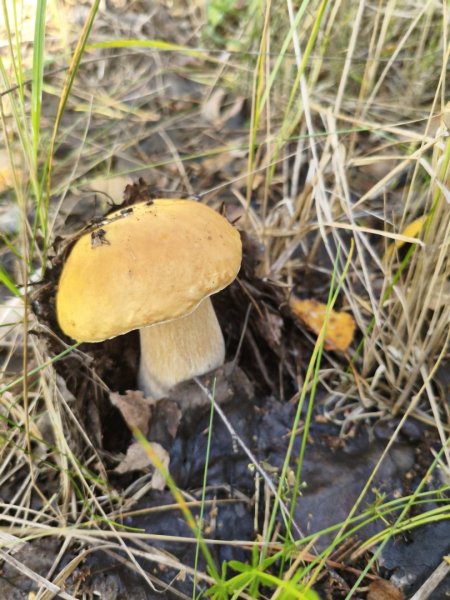 2025-08-28 16-49-05.JPG