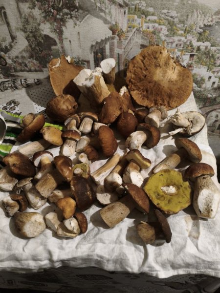 2025-08-28 23-19-03.JPG