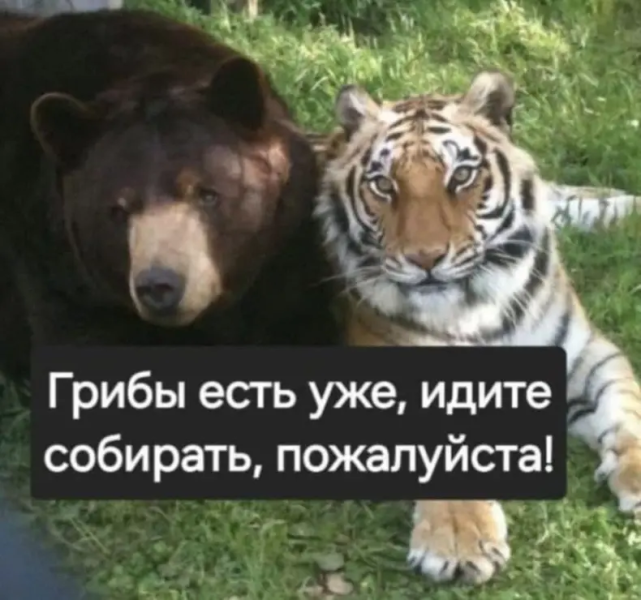 photoeditorsdk-export (17).png