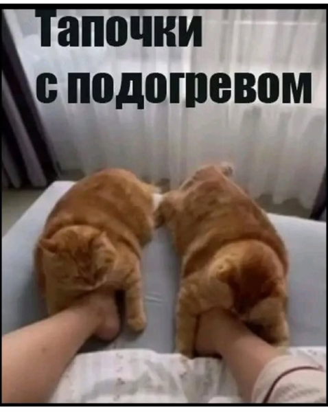 photoeditorsdk-export (11).png