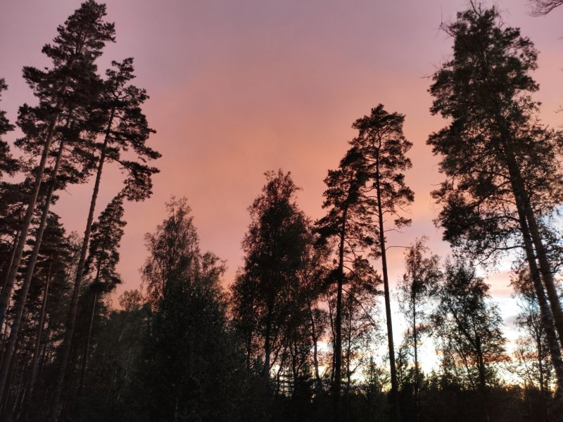 2025-08-28 19-02-45.JPG