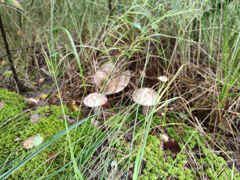 2025-08-24 17-38-47.JPG