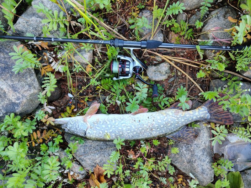 2025-08-29 07-35-14.JPG