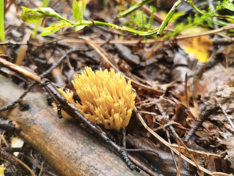 2025-08-23 16-34-44.JPG