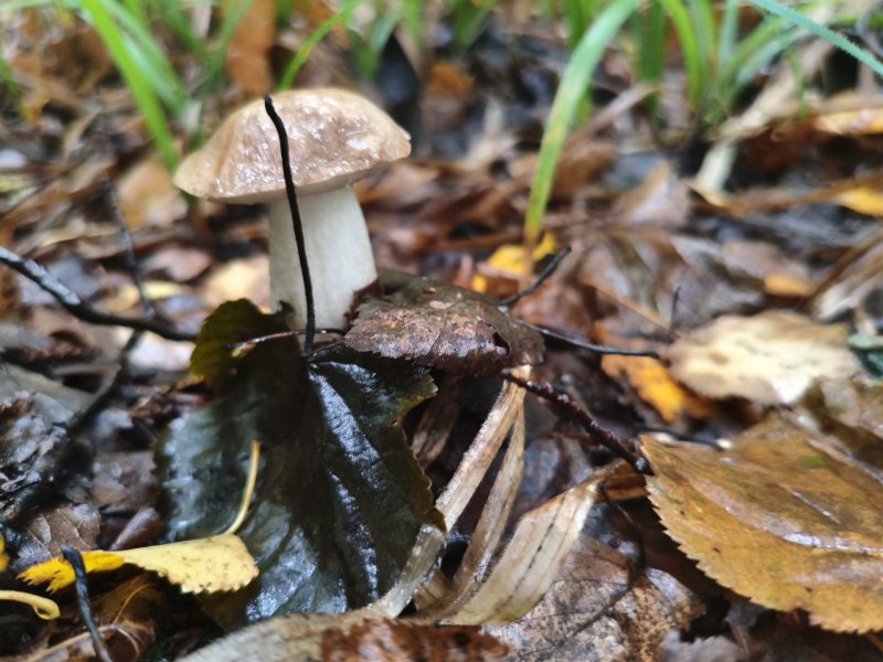 2025-08-24 16-44-57.JPG