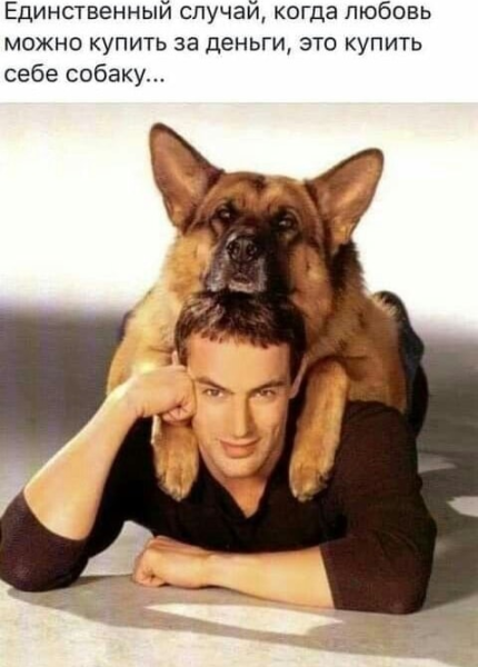 photoeditorsdk-export (8).png