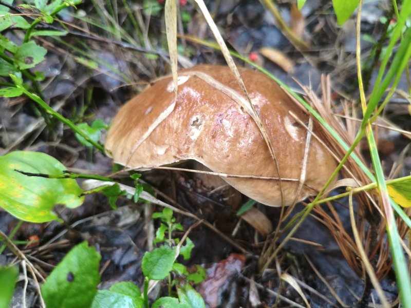 2025-08-23 17-21-21.JPG