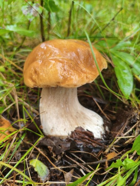 2025-08-23 16-23-03.JPG