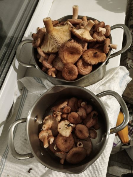 2025-08-28 23-19-16.JPG