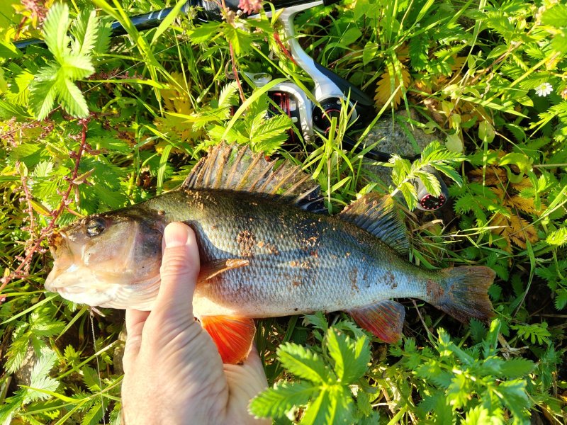 2025-08-29 06-34-31.JPG