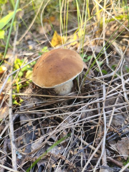 2025-08-31 16-18-31.JPG