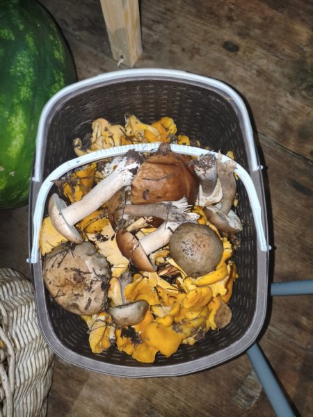 2025-08-24 12-36-08.JPG