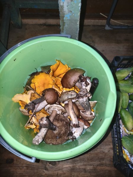 2025-08-24 12-36-12.JPG