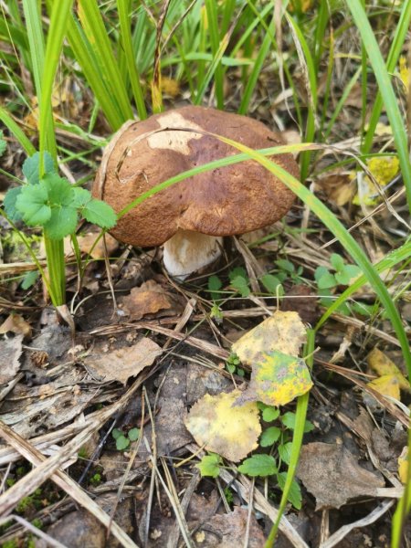 2025-08-31 15-37-15.JPG