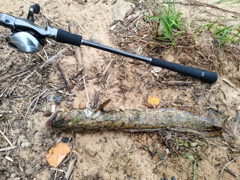 2025-09-06 09-07-29.JPG