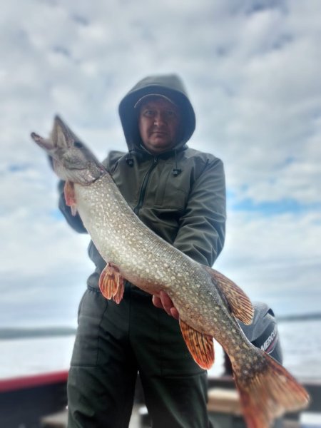 Изображение WhatsApp 2025-09-11 в 08.54.07_90a78bb2.jpg