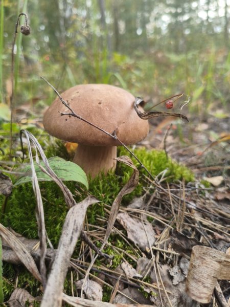 2025-09-01 16-19-01.JPG