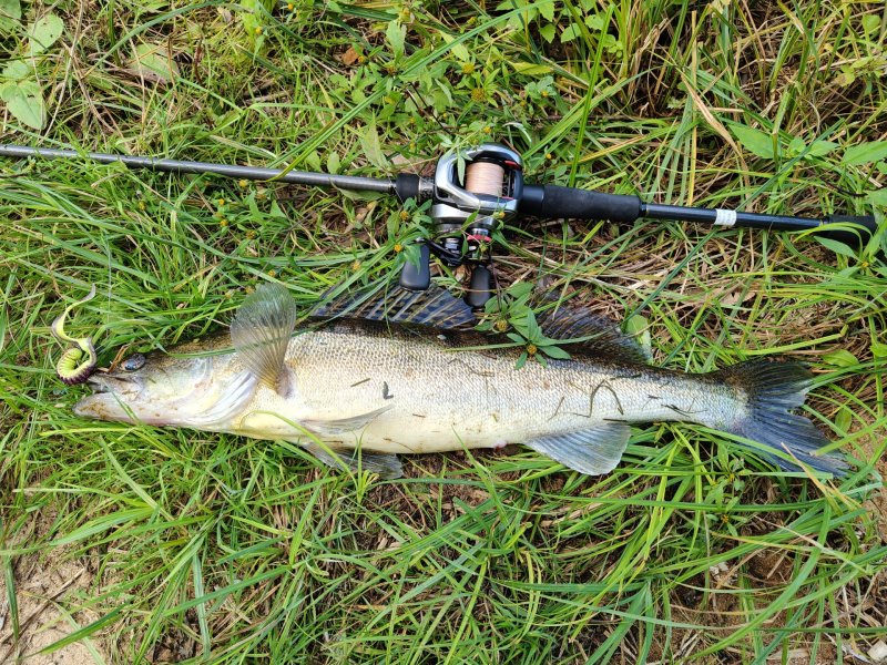 2025-09-06 10-34-22.JPG