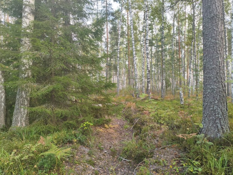 2025-09-01 16-27-37.JPG