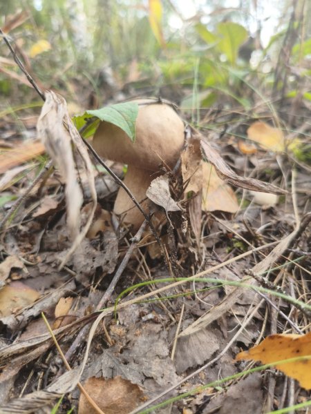 2025-09-01 16-18-50.JPG