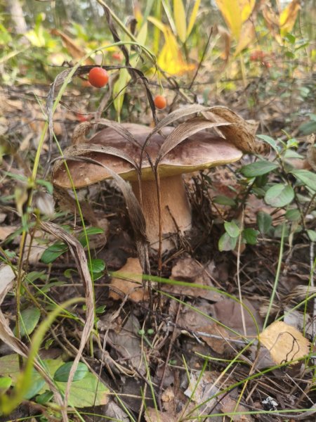 2025-09-01 16-18-41.JPG