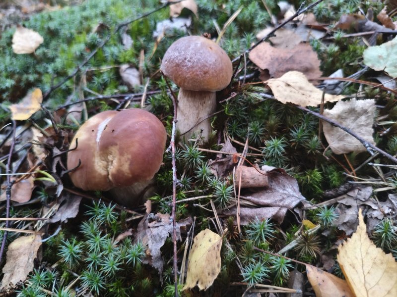 2025-09-01 18-51-35.JPG