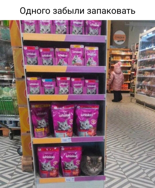 photoeditorsdk-export (25).png