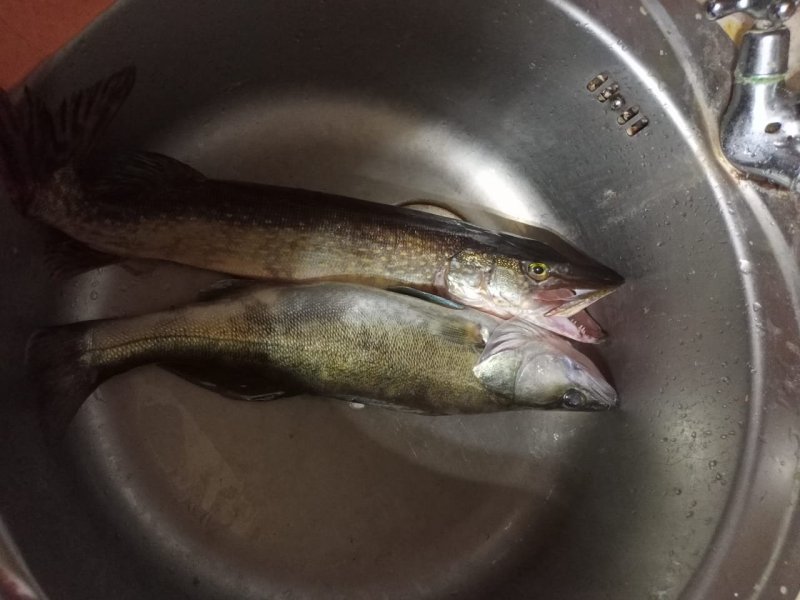 Изображение WhatsApp 2025-10-11 в 18.19.39_122afeff.jpg