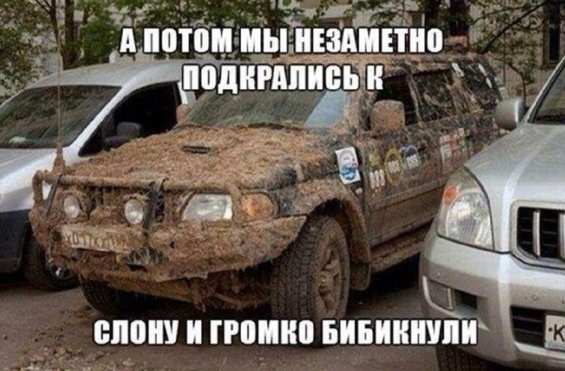 11zon_cropped (4).jpeg