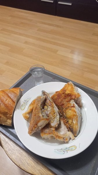 Изображение WhatsApp 2025-10-11 в 18.48.17_434d5a8c.jpg