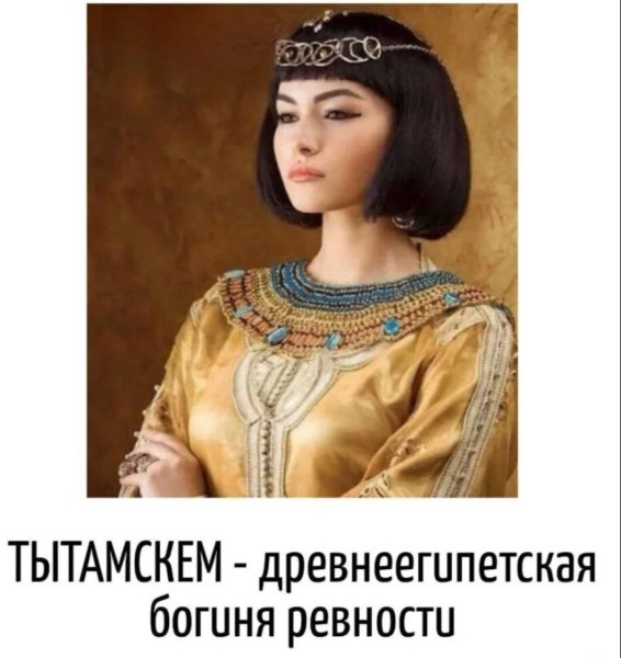 11zon_cropped (5).jpeg