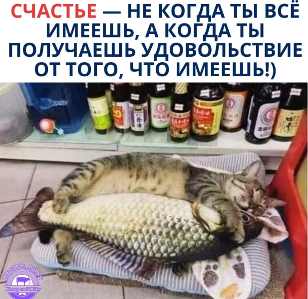 photoeditorsdk-export (18).png