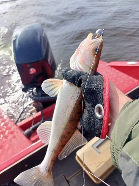 Изображение WhatsApp 2025-10-11 в 18.17.57_a5741c2d.jpg