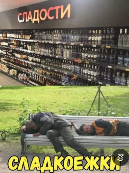 11zon_cropped (43).jpeg