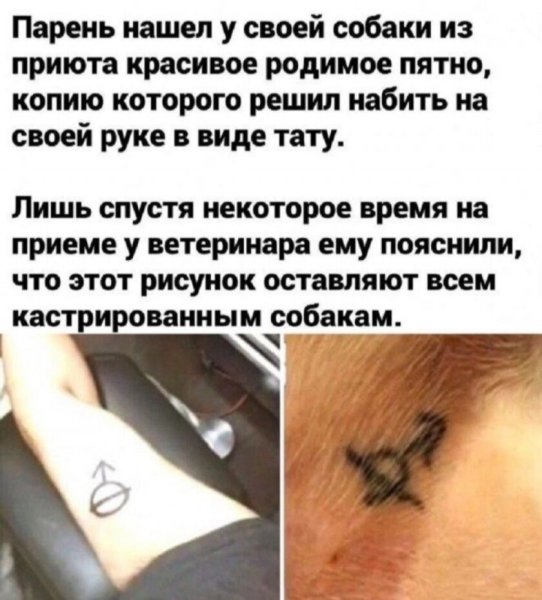 11zon_cropped (32).jpeg