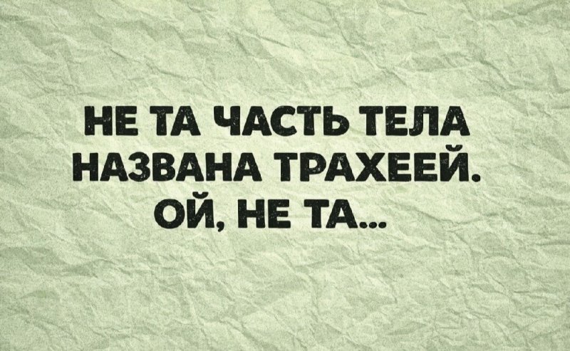 11zon_cropped (47).jpeg