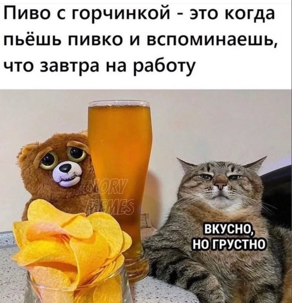 11zon_cropped (73).jpeg