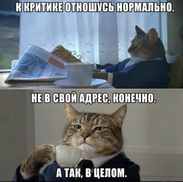 11zon_cropped (79).jpeg