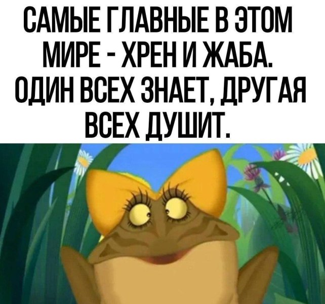 image_600030.jpg