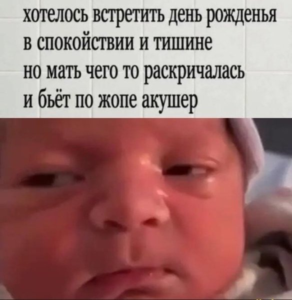 11zon_cropped (76).jpeg