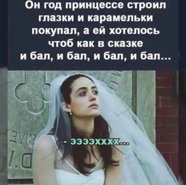 11zon_cropped (64).jpeg