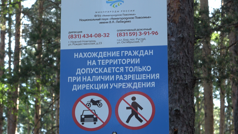 727378229_1.thumb.png.a2dacc0d098aa5e97d07035467dd07d8.png