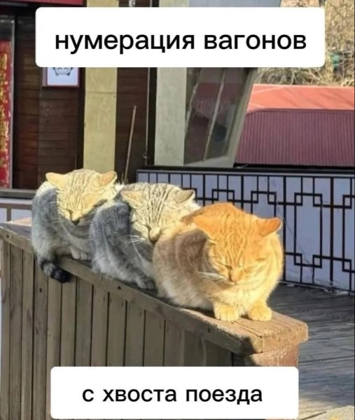 11zon_cropped (72).jpeg