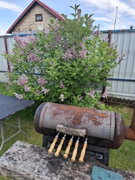 20260708_095531.jpg