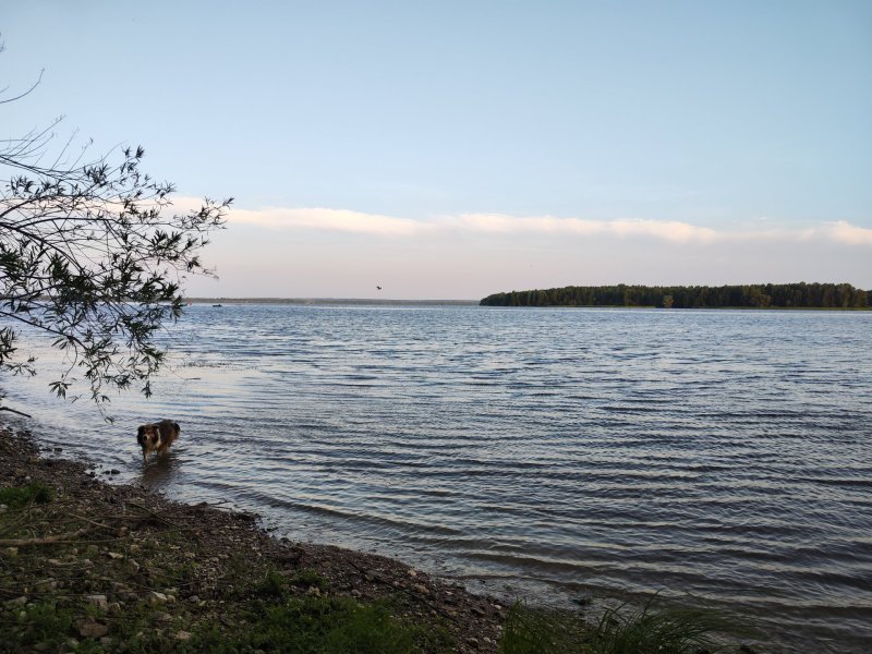 IMG_20260710_040521.thumb.jpg.ede6fb03fa12628a066f06f32b4b921b.jpg