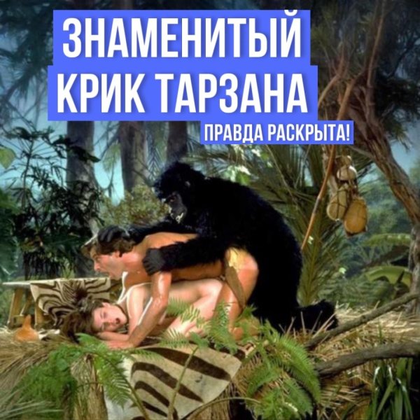 nBwAbWU1QglXGeXSWmLgPMK7kKdnWGSVy3hEBMMl0wszP5VkMqx1ctD3Ef_bj-HoA2b72i-2ZVpXpB5_f1hNwRtL.jpg