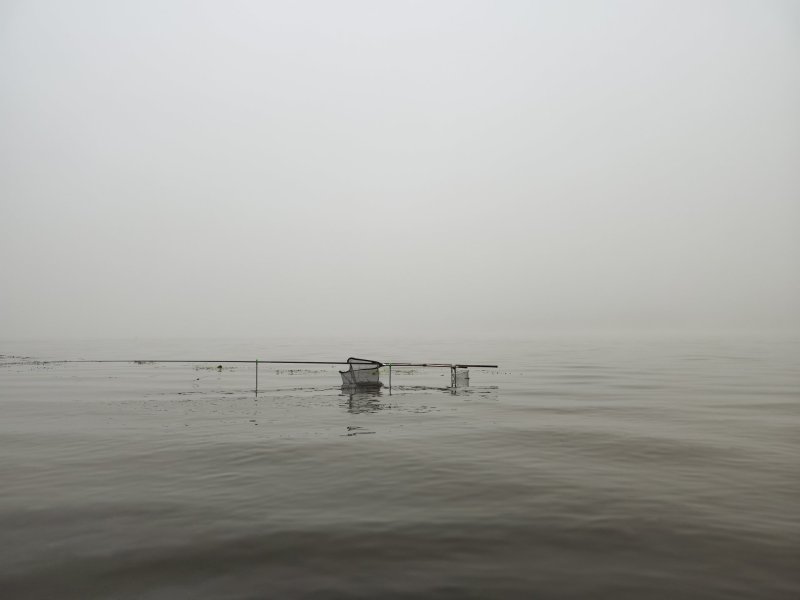 IMG_20260731_044319.thumb.jpg.5888022e0ceceb16110e248fd85b2f31.jpg